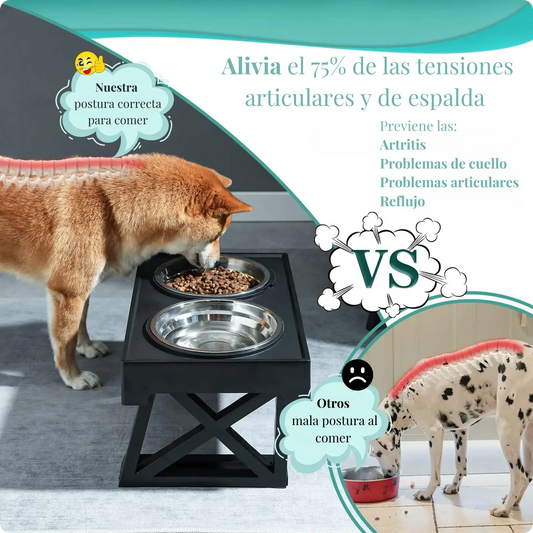 Plato Elevado Premium: La Comodidad y Salud Que Tu Amigo Mas Fiel Merece